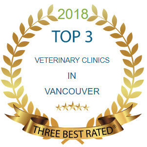 Top-3-Rated-Veterinary-Clinics-in-Vancouver